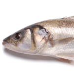 Robalo (400g a 600g)