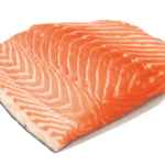 Salmão