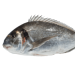 Dourada (400g a 600g)
